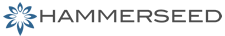 Hammerseed  | Digital Marketing Agency Logo