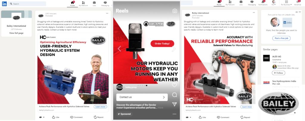 Bailey Hydraulics B2B ads running on LinkedIn and Instagram